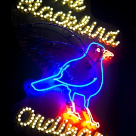 Blackbird Ordinary:  Ladies Night