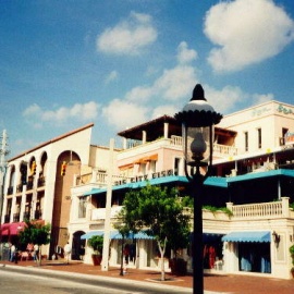 Coconut Grove profile image